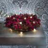 Battery Operated 50lt string lights 1492-107