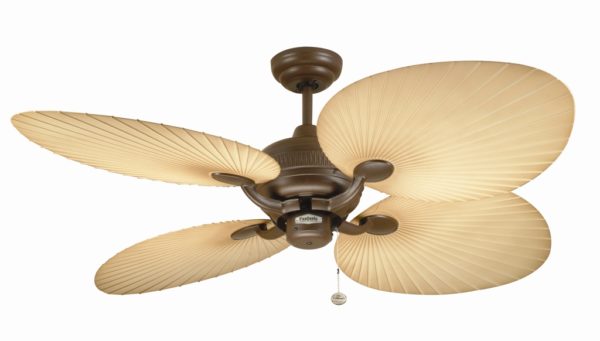 Ceiling Fans