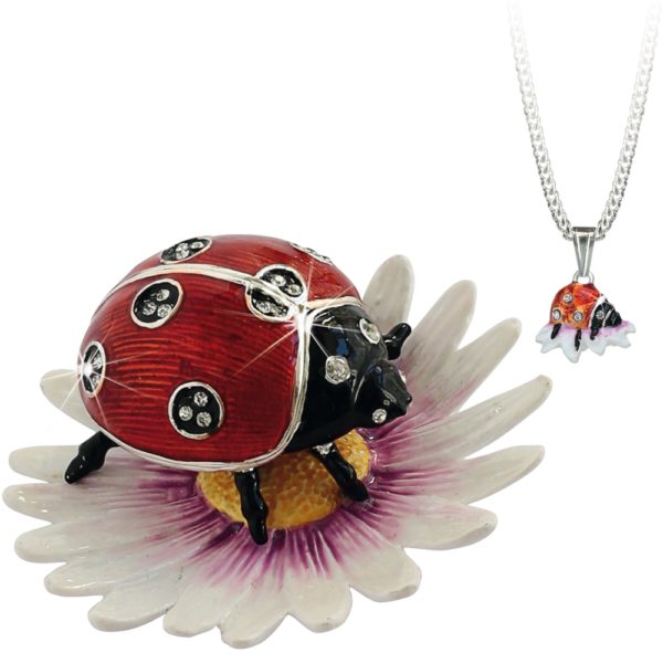 “Secrets” from Hidden Treasures Ladybird
