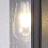 Drake Flush Wall Light IP54 Anthracite