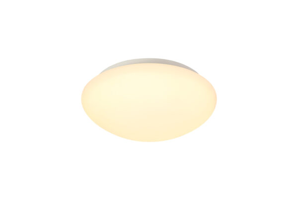 Lorenzo Flush 18W LED Frosted Glass IP44