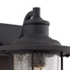 Reppia Wall Lamp Black and Seeded Glass IP54