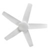 117773 46" Luna Ceiling Fan