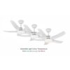 Luna Ceiling Fan - Colour Range