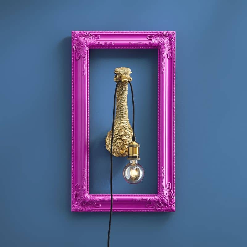 52836 Franz Josef baby (shown in frame) 52836 Franz Josef baby (shown in frame)