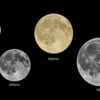 The Everyone's Moon Pendant - sizes