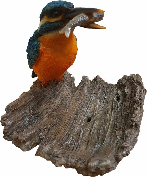 Kingfisher on Driftwood