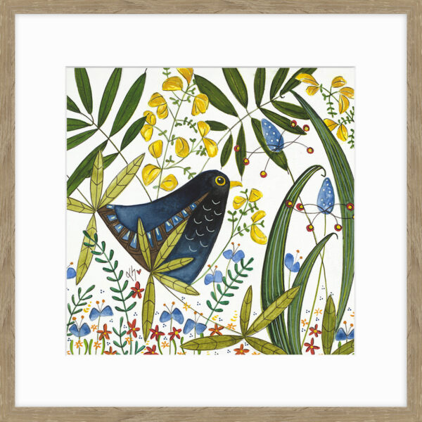 Blackbird in hedgerow