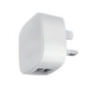 Dual USB Plug