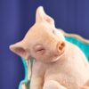 56309 Pig on armchair (1)