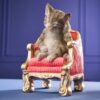 56310 Cat on armchair (2)