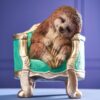 56311 Sloth on armchair (2)