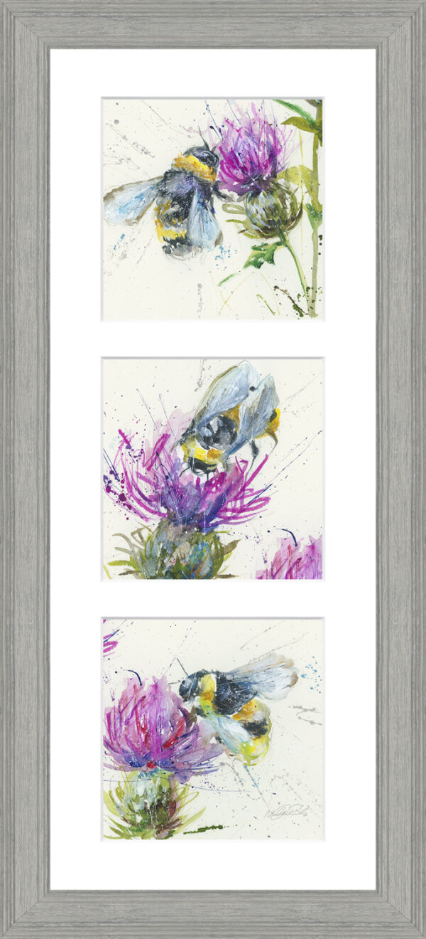 AK12326 Thistle Symphony - 25 x 55cm