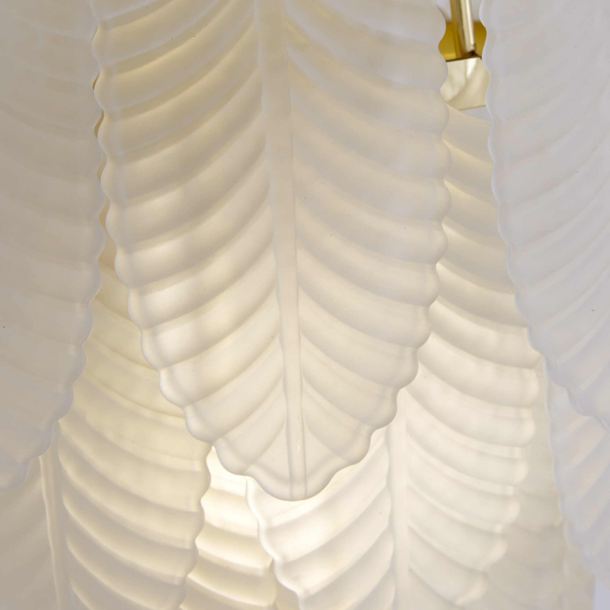 Feather Wall Light - close up Feather Wall Light - close up