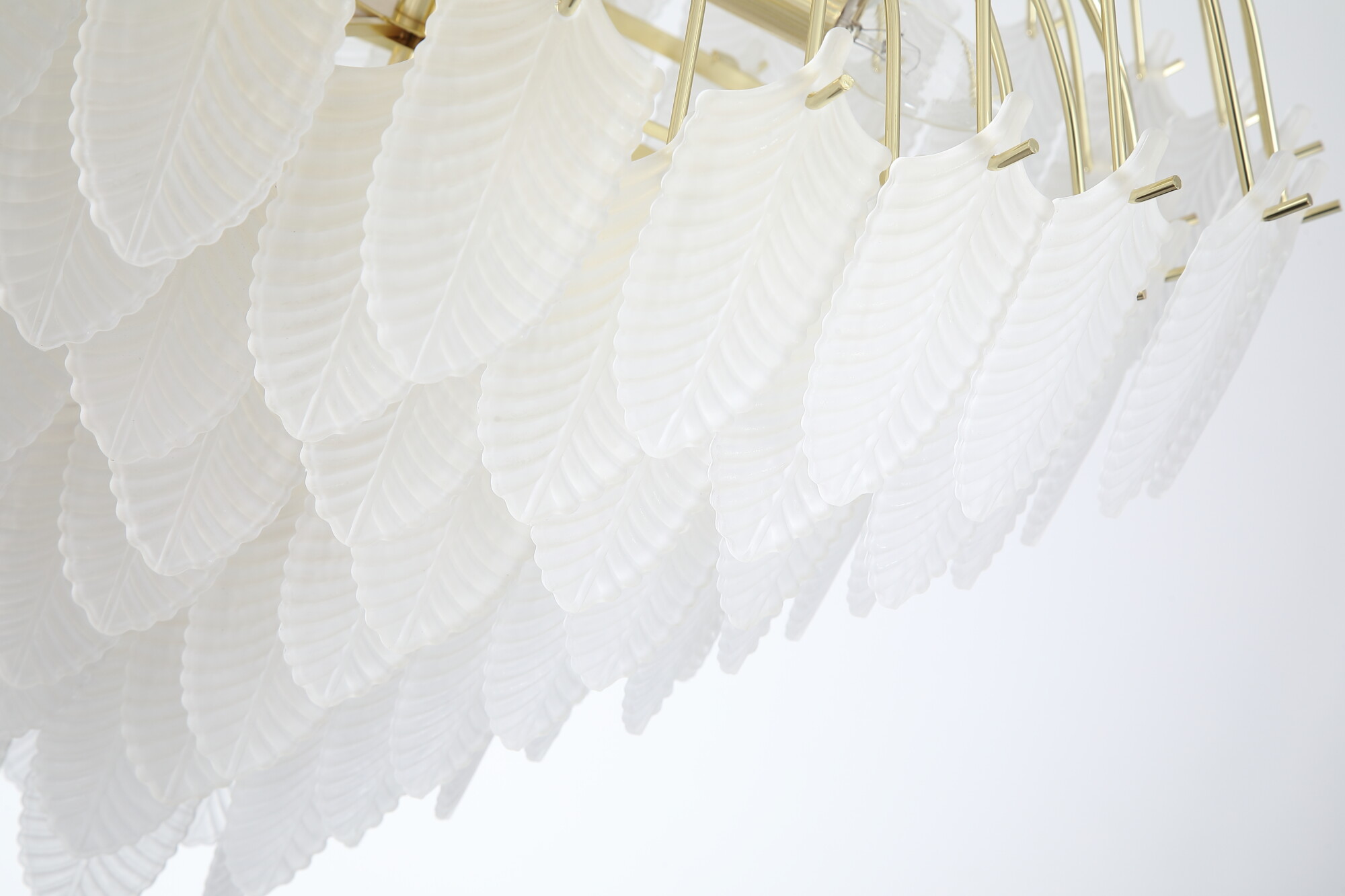 Feather 6 Light - close up Feather 6 Light - close up